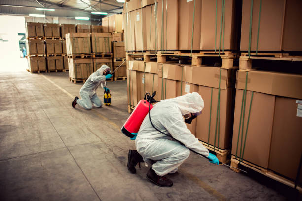 Best Best Pest Control Companies  in Lovell, WY