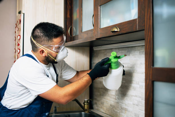 Best Pest Control for Restaurants  in Lovell, WY