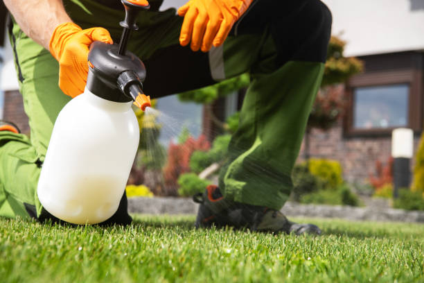 Best Exterminator Services  in Lovell, WY