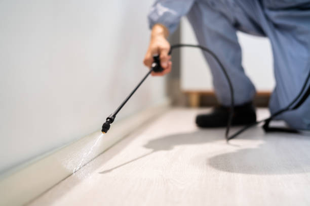 Professional Pest Control in Lovell, WY