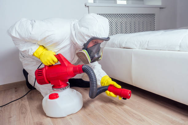 Best Pest Control Near Me in Lovell, WY