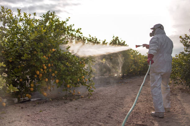 Best Flea Control Services  in Lovell, WY