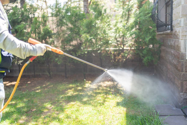 Best Wasp Removal Services  in Lovell, WY