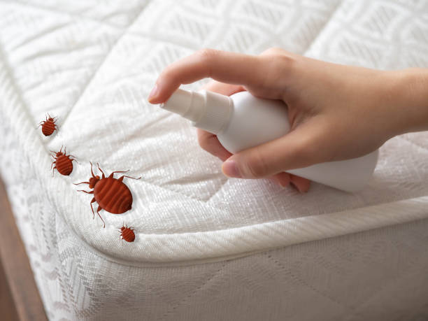 Best Cockroach Control Services  in Lovell, WY