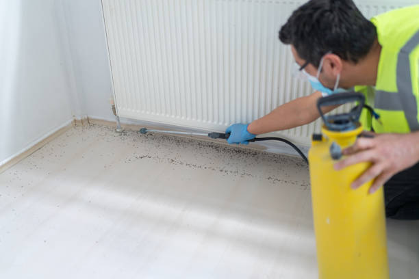 Best Affordable Pest Control Services  in Lovell, WY