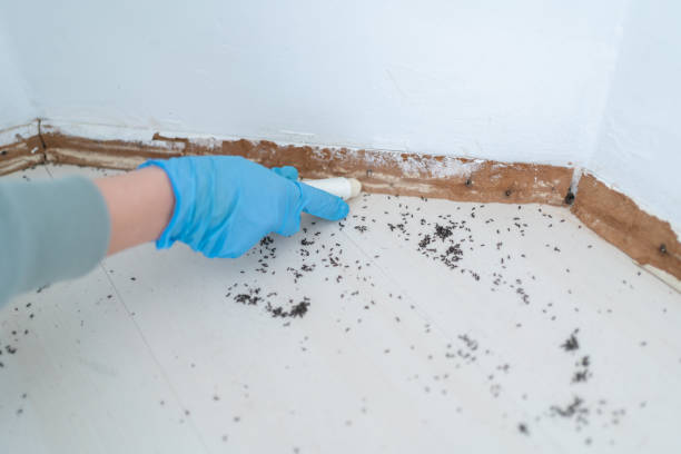 Best Pest Control for Businesses  in Lovell, WY